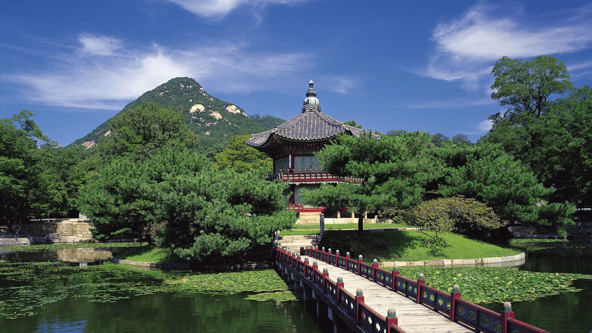 世界登山青年导师长期追踪研究第十一期数据摘要发布，国际登山联合会